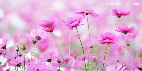 這是標(biāo)題一