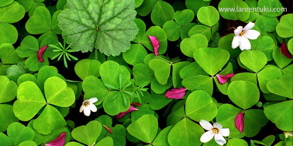 這是標(biāo)題三